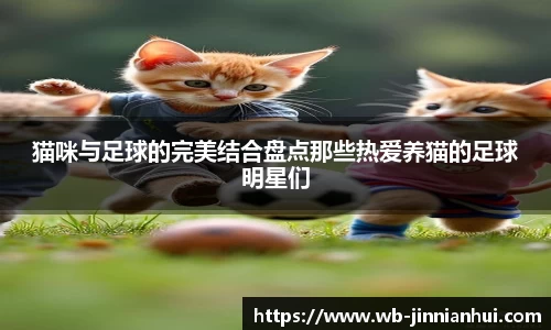 jinnianhui
